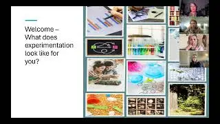 Experimentation in Focus   Q2 2024   PlanDoTrack Coaching Business Builder