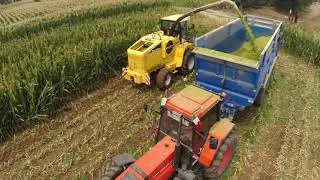 Azienda VANZAGO Trinciatura 2022 -DEMO