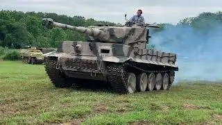 Tiger replica enters the field