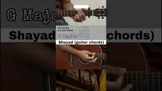 Shayad Song - Easy Guitar Chords #arijitsingh