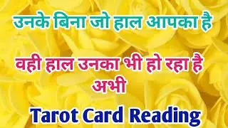 His/Her Current Feelings💖Love Reading❤️Collective💘Timeless✨ Hindi Tarot Reading