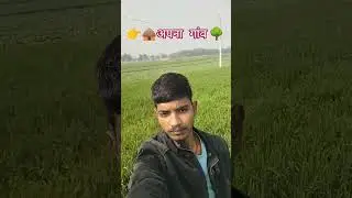 अपना गांव 🌳🛖#village #peace #peacefulvillage#shortvideo #motivation #love #dream #homemade #viral