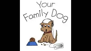 YFD 029  Sports: Scent Work for Search & Rescue