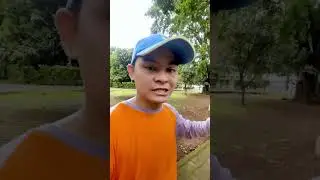 Terdengar menarik dan jadi pingin mainin .. #shorts