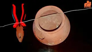 How to Hang Birds Pot Inside the Birds Cage | Love Birds Breeding pots in Malayalam | My Pet Plant