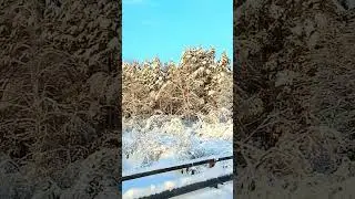КРАСОТА