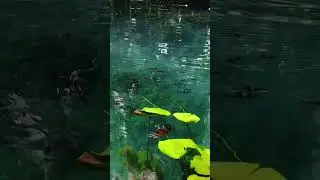 Little Paradise in Krabi,Thailand. Discover this natural beauty at Klong Root, And enjoy kayaking. 🥰