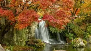 Mellow River Reflections: Melodic Moments