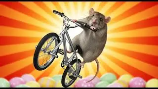 Ratscab Rides - Easy lobby Easter egg *Bouncy* line - Descenders