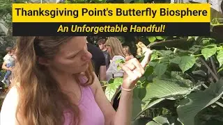 Utah Day 8 | Close Encounters at Thanksgiving Point's Butterfly Biosphere