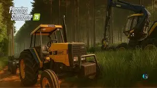 FS 25 | Silvicultura pesada com alto rendimento na floresta