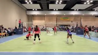 transpac 2026 Serve Receive Highlights