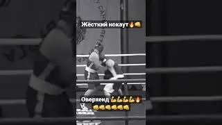 Вырубил🔥#спорт #бокс #нокаут #мма #gym #box #boxing #россия #хабаровск #москва #дагестан #кавказ
