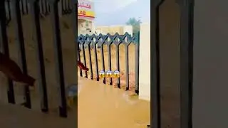 Dad qaDay imaaraadka Guryo iyo baabuur dad dabaalanaya daawo