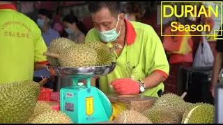 Premium Mao Shan Wang Durian  - Singapore Durian Season 2020
