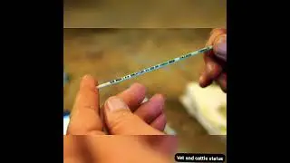 status video #status #vet  #statusvideo #veterinary #story