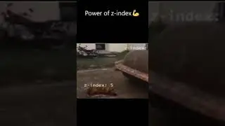 Power of z-index 💪🤣