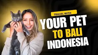 TRAVEL WITH YOUR PET TO BALI