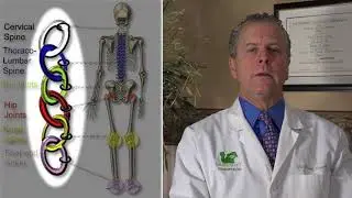 Low Back Pain Treatment - Dr. Brent Ungar in Canton OH