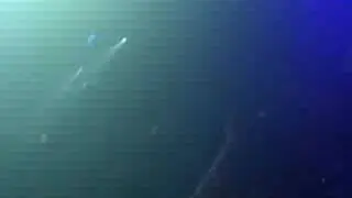 Christopher Lawrence -- Peppermint Dubai