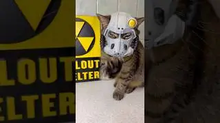 Equipping Catmeat with Power Armor!
