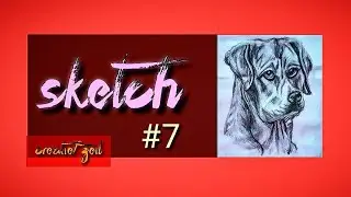 Beautiful ♡skech of dog🐶 || By Creatief zeil || MUST WATCH||