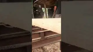 professional wood cutting on a sawmill #wood #woodworking #skills