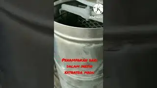 mesinperas madu dilihat dari dalam#maduliar #lebah#mellifera