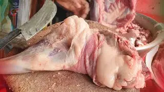 Excellent Big Size Full Goat Cutting Skills | Goat Mutton Cutting Experts | ‪@cuttingstore