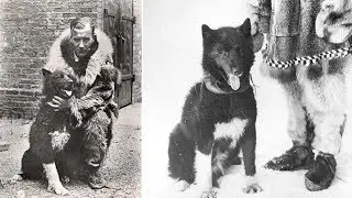 91 Years Ago, This Brave Dog Saved An Entire Town  How This Is Incredible&hellip;
