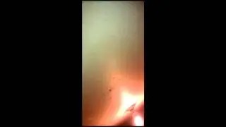 Progressivedesigns.net Windsor Commons Deforest WI All Star Properties Mold infestation.mov