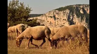 Triride &agrave; Coursegoules et Cipi&egrave;res / Alpes-maritimes
