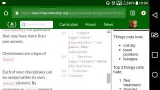 Basic HTML and HTML5 part23: Create a Set of Checkboxes