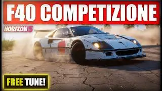 Ferrari F40 Competizione Customization Road Race Build with Tune | S2 Class | Forza Horizon 5 Online