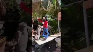Patty's Limber Jack