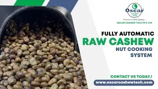 Fully Automatic Raw Cashew Nut Cooking System, Cashew processing Plant , Oscar Cashew Tech