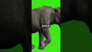 10 dangerous animals that are now extinct! #shorts #trending