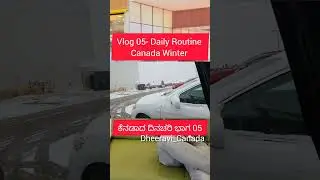 Vlog 05  Daily Routine Canada Winter #canadapr #canadavisa #canadavlogs #explorecanada #canadalife