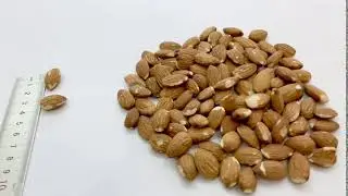 Olam Almonds - Standards 5% available on OlamNuts.com