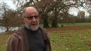 Le platane de Missillac concourt pour le prix du plus bel arbre de France