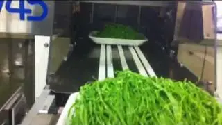 AV 45 Tray wrapping machine for stretch film (Salad line)