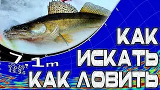КАК ИСКАТЬ, КАК ЛОВИТЬ. ЛОВЛЯ СУДАКА С PANOPTIX