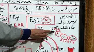 Super senses sst grade 5th