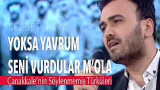 Necdet Kaya - Yoksa Yavrum Seni Vurdular M'ola (Çanakkale'nin Söylenmemiş Türküleri)