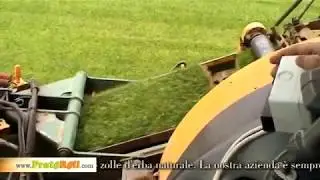 ★ Prato Roll ★ il Prato a Rotoli!  Produzione e Vendita  di Tappeti in Erba gi&agrave; Pronti.