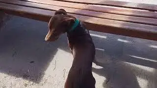 Recolecta para roperos ..ay&uacute;danos a compartir ! 💯💚💙💜🤎🖤🩶