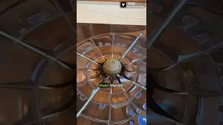 7 things to do in Auroville🤌 #tamil #trending #viral #youtubeshorts #travel #youtube