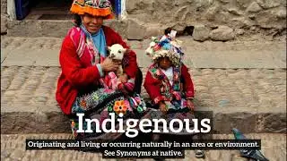 How to Say Indigenous in English? | How Does Indigenous Look? | What is Indigenous?