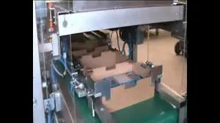 CPS CLP CASEPACKER