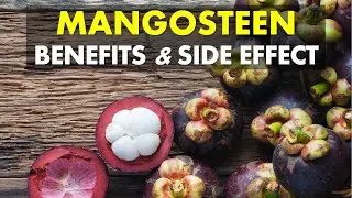 Mangosteen Benefits and Side Effects, Mangosteen Is An Exotic Fruit